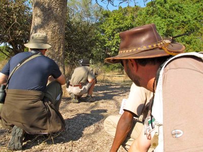 Crouching down as elephants pass on our bush walk