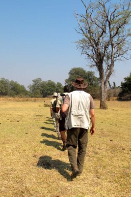 Walking safari from Chindeni