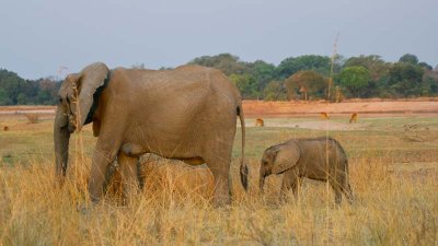 Mother and child