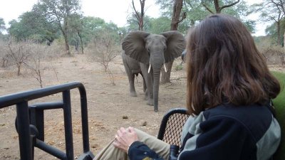 On a game drive from Chongwe
