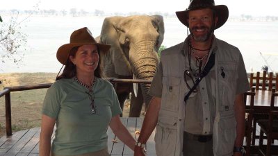 Elephants come to camp at Chiawa