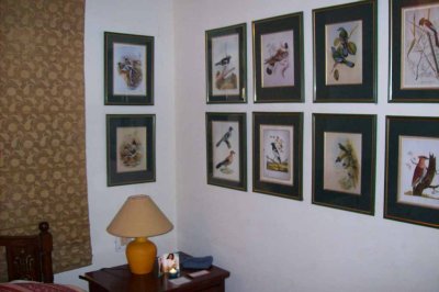 Beautiful bird drawings adorn the walls (we've seen many of them!)