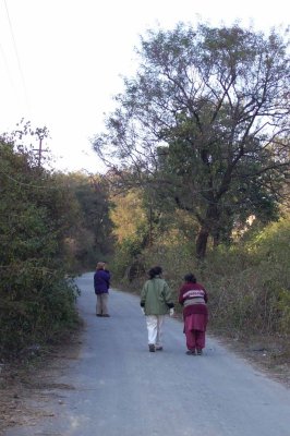 A walk towards the village