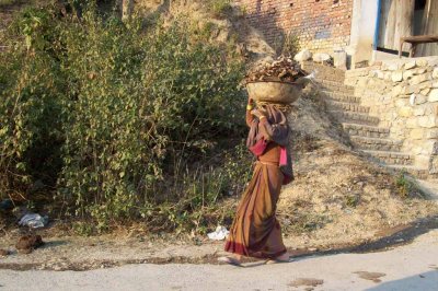 Woman carrying leaves (to burn for heat and cooking)