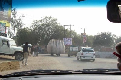 Huge cart carrying plant materials