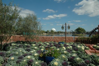 Epcot