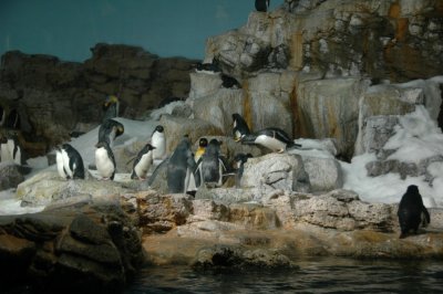 Sea World