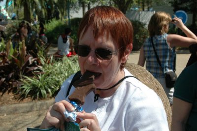 Hardest ice cream bar in the world