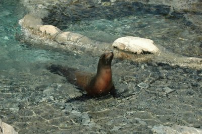 Sea World