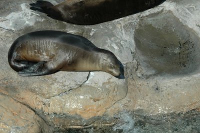 Sea World