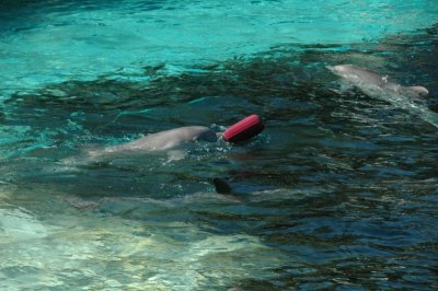 Sea World