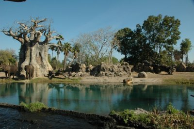 Animal Kingdom