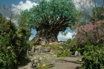 Animal Kingdom