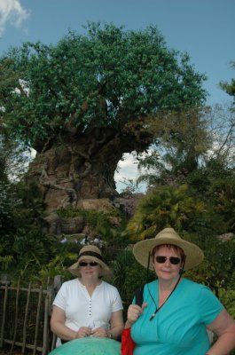 Orlando 087.JPG