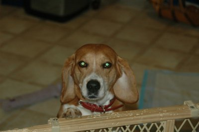 Birthday 2009 073.JPG