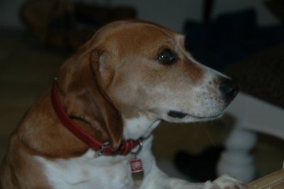 Birthday 2009 074.JPG