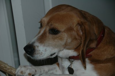 Birthday 2009 093.JPG
