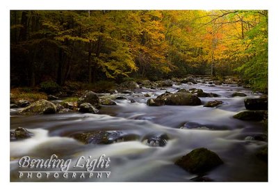 Elkmont