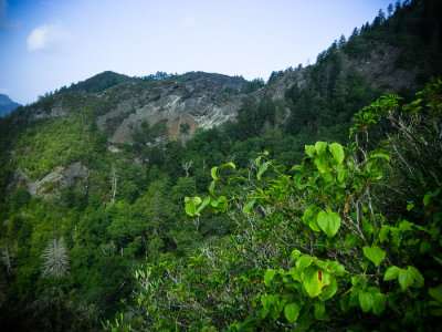 IMG_1561 edit.jpg