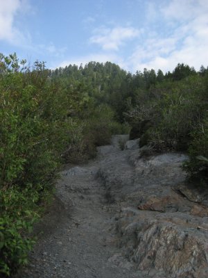 IMG_1566 edit.jpg