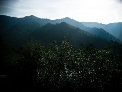 IMG_1568 edit.jpg