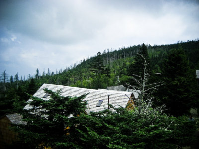 IMG_1595 edit.jpg