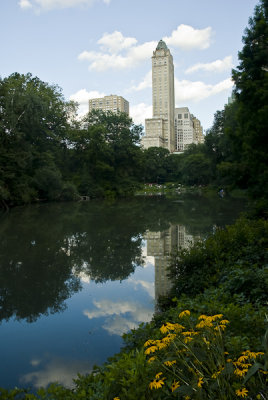 Central Park 3