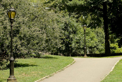 Central Park 14