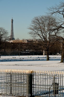 Jardin des Tuileries-7