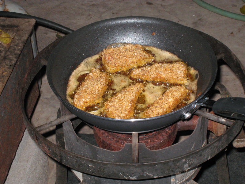 From the Sea of Cortez, to the Fryer, to Your Plate - YUMMY