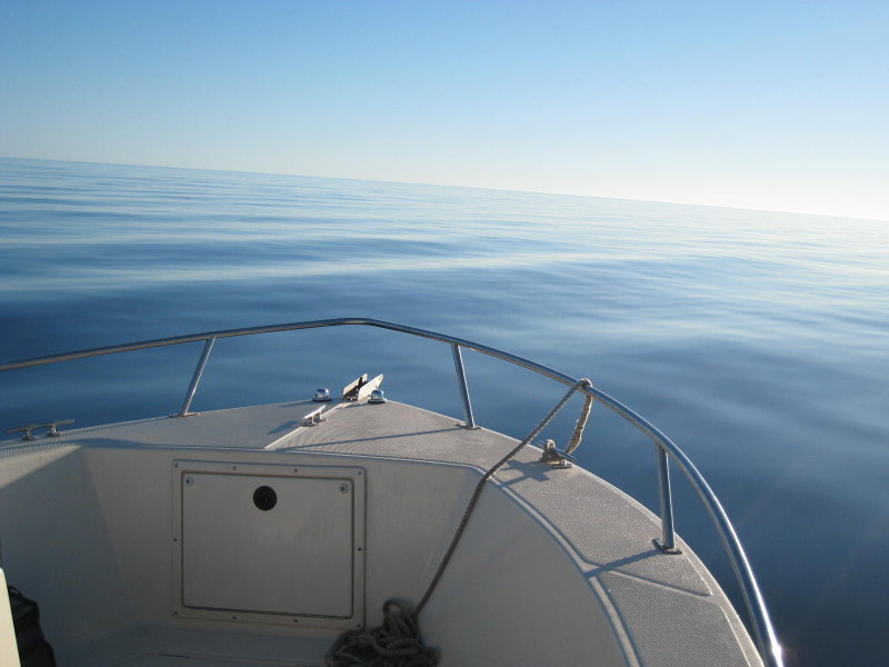 A Perfect Fishing Day on the Sea of Cortez - NO WIND