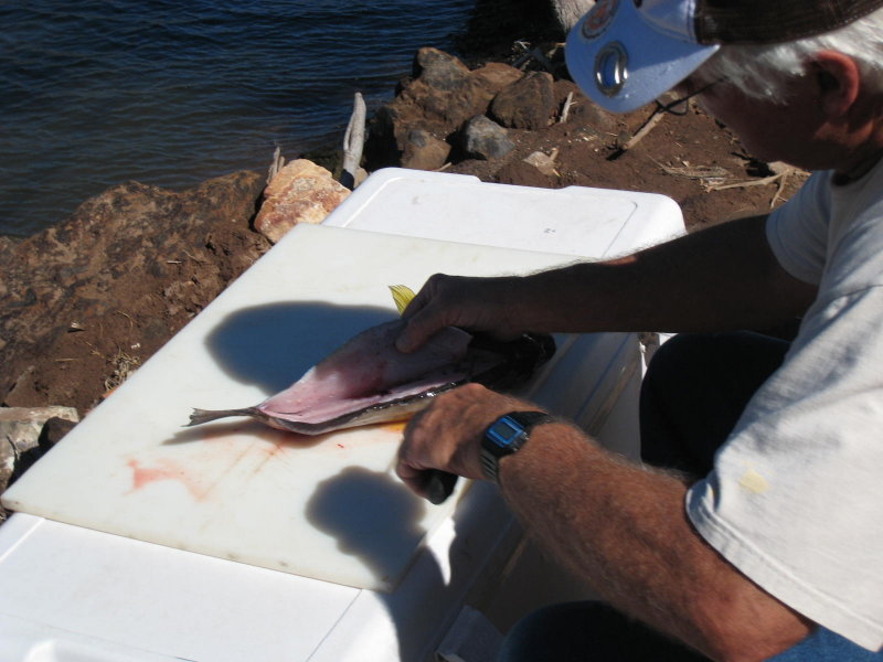 Making Fish Filets