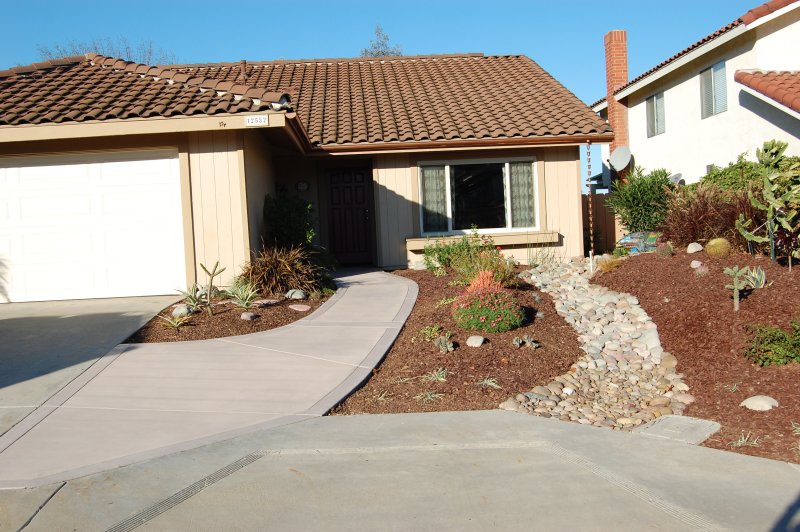 New Front Yard 2009