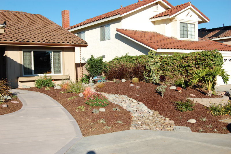New Front Yard 2009 2