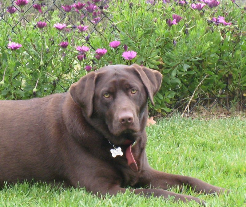 Luke March 2009