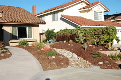 New Front Yard 2009 2