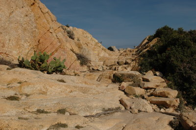 DSC_6082.JPG
