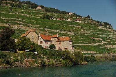 Againthe chteau de Rivaz from another angle to show the vineyard of Lavaux