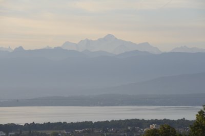 _FS13043.JPG