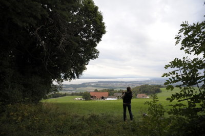 Guess what? View over the Geneva Lake (here it's called Lac Lman).