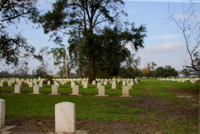 A Small Part of the Cemetery at Carville