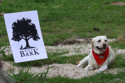Breaking Ground for the Dog Park