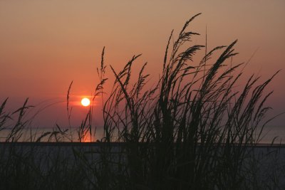 Sunrise on the Sand Dunes