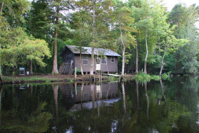 Sugar Shack in the Middle of the Swamp