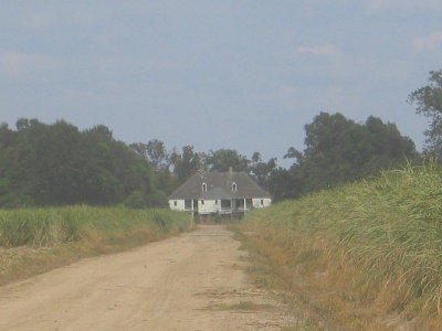 Riverlake Plantation House - the back seen through the cane fields