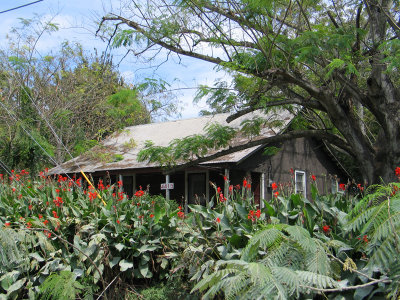 A Worker's house on Alma Plantation- former slave quarters