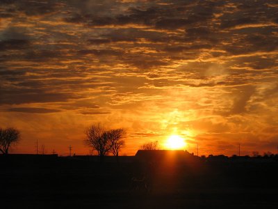 Man and His Dog in the Sunset