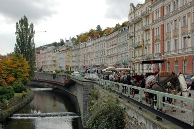DSC_7905_resize.jpg