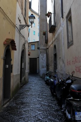 DSC_9596cs.jpg