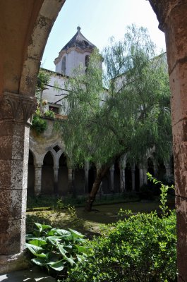 DSC_9720s.jpg